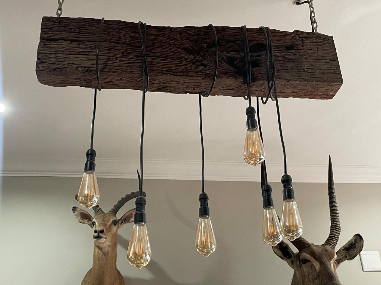 cre8ability lights